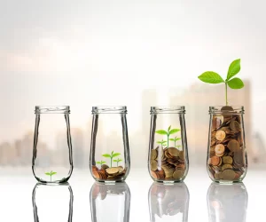 stock image of coins and plants in glasses